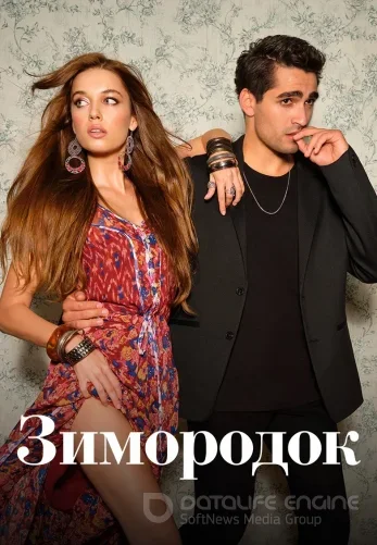 Зимородок 3 сезон 1-101, 102 серия на русском языке все серии смотреть бесплатно